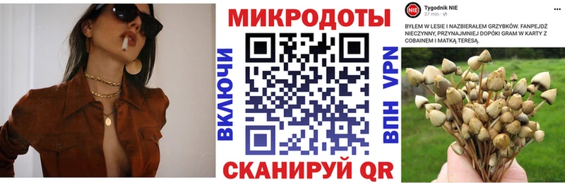 ОМГ ОМГ ONION  сколько стоит  Осинники  Псилоцибиновые грибы Psilocybe 