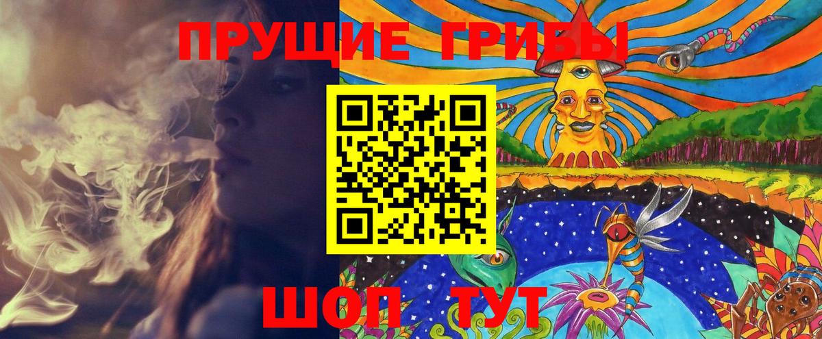 Галлюциногенные грибы Cubensis Осинники